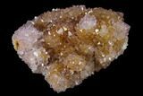 Cactus Quartz (Amethyst) Crystal Cluster - South Africa #137751-1